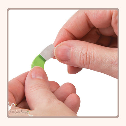 3D Floating Frog Craft Kit