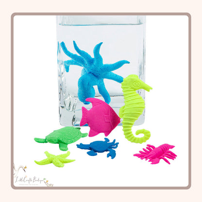 Watch it Grow Sea Life Character Water Growing Toy